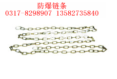 供应防爆链条